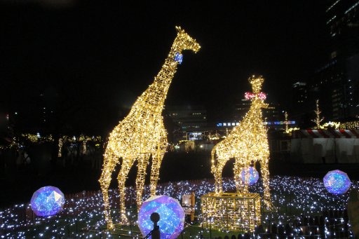 大阪婚活イベント天王寺動物園イルミネーション